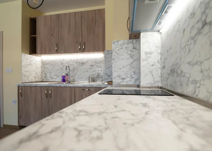 公寓 By The River 1 普罗夫迪夫